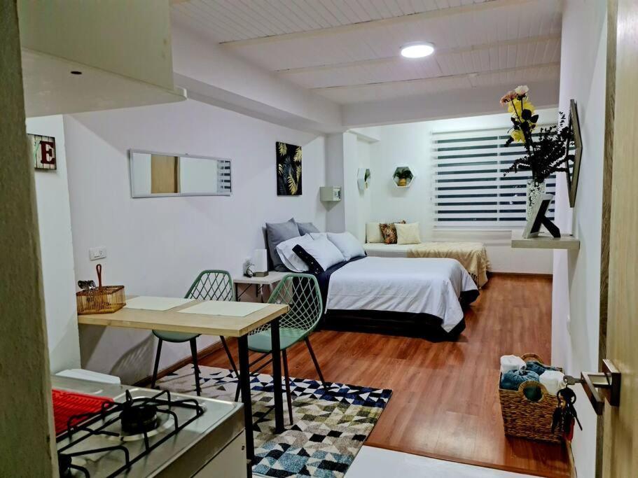 Apartamento Completo Tipo Loft 201 Apartment
